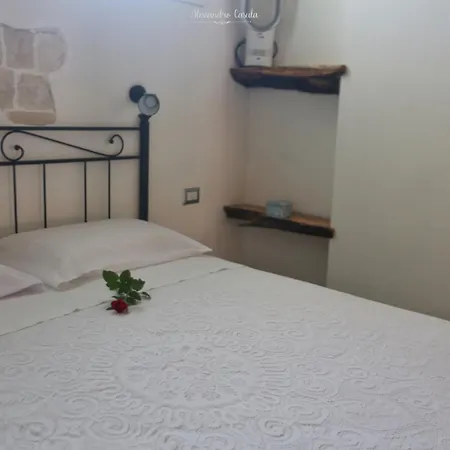 Kasa Kalagonis Maracalagonis