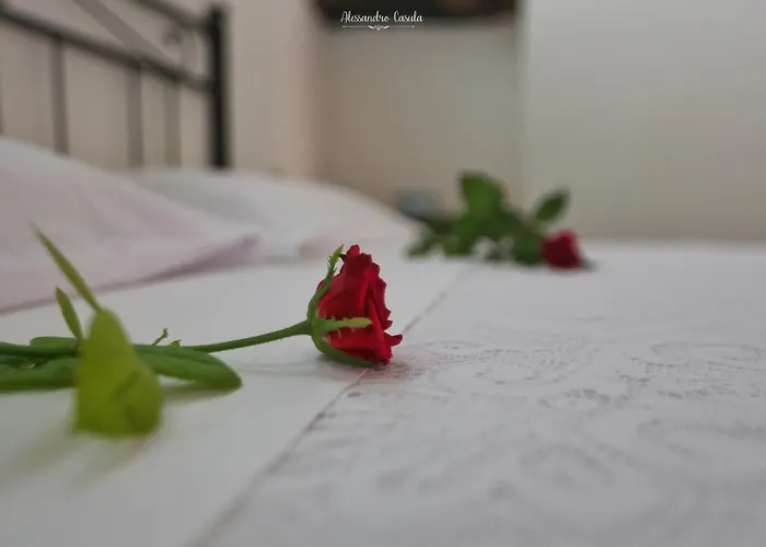 Kasa Kalagonis * Maracalagonis